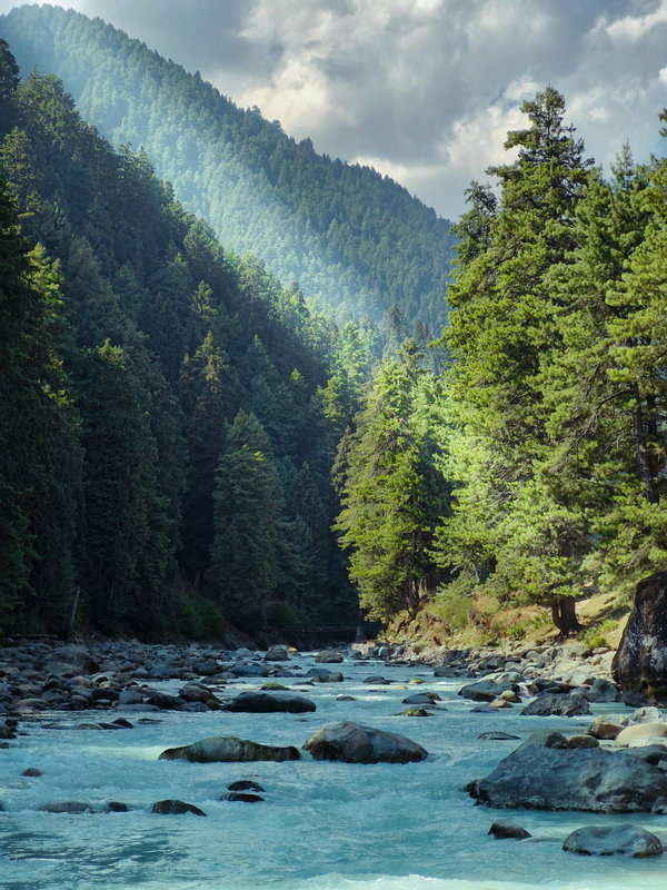 BOD分析儀 BOD分析儀